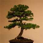 The Art of Confrontation