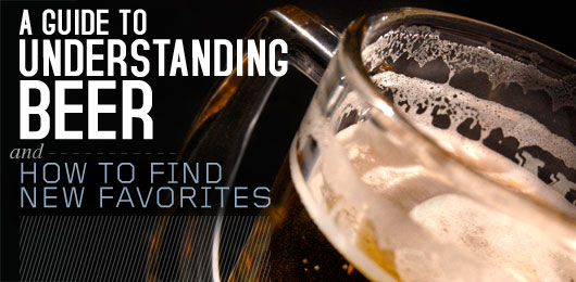Beer Guide A Guide to Understanding Beer and how to find new favorites