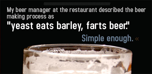 Beer Guide inset Article text - yeast eats barley, farts beer