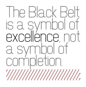 Black belt inset small Text - The black belt is a symbol of excellence