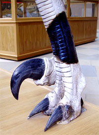 Utah Raptor claw Photo credit: