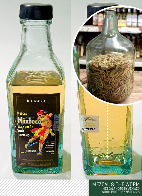 mezcal and the worm mezcal and the worm bottle