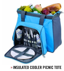 picnic tote A blue bag of food for picnic