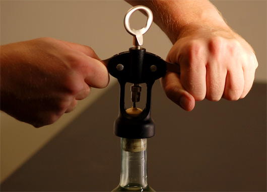 wing corkscrew wing corkscrew