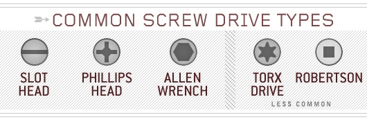 screwhead shapes Common screw drive types infographic
