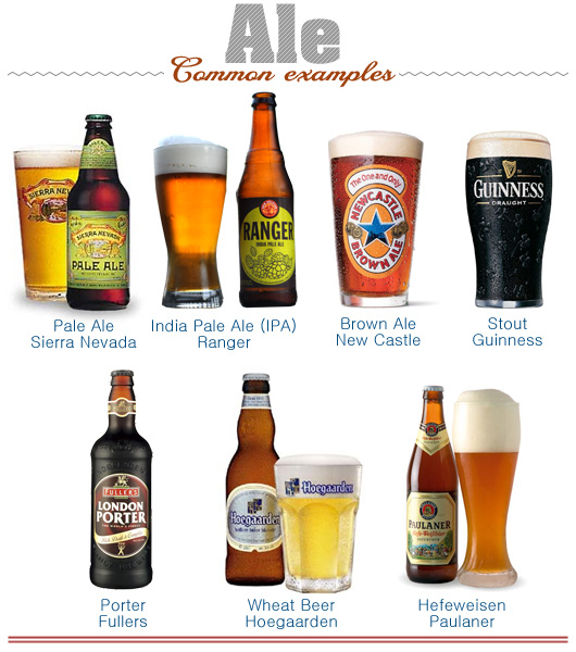ale beers Illustration of common examples of ale beer