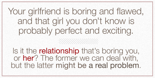 honeymoon period relationship comparison