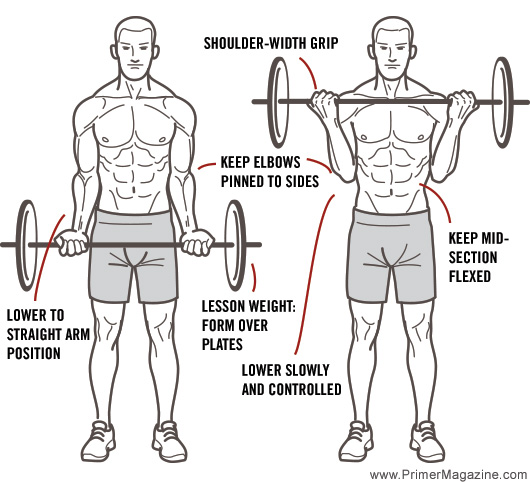proper bicep curl form