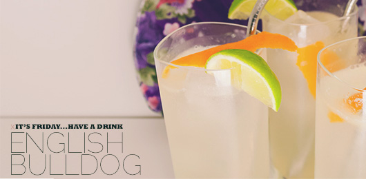 The English Bulldog Cocktail Recipe: A Delicious Spin On A Traditional Gin And Tonic