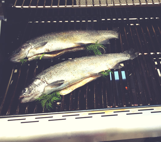 A close up of a fish on a grill