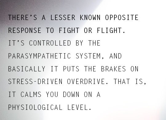 Parasympathetic System article quote