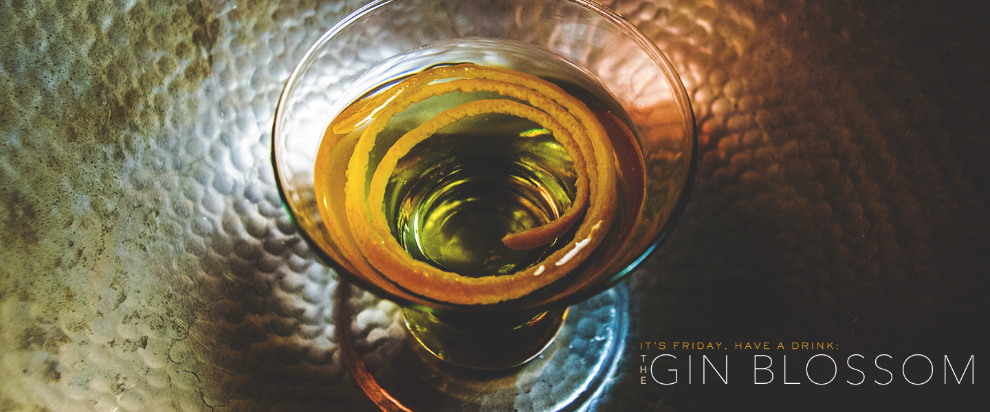 The Gin Blossom Cocktail Recipe: Not Sweet Martini Variation with Hints of Apricot