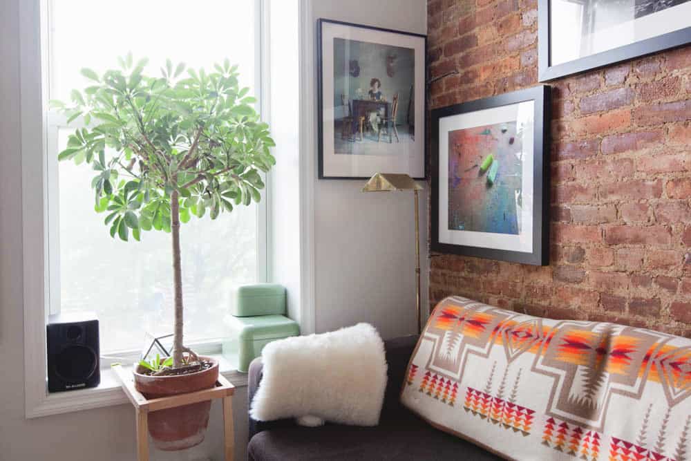 apartment decorating ideas