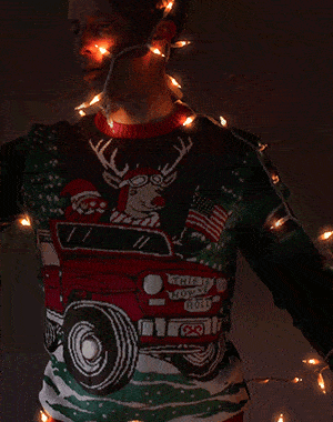 day-4 Christmas lights