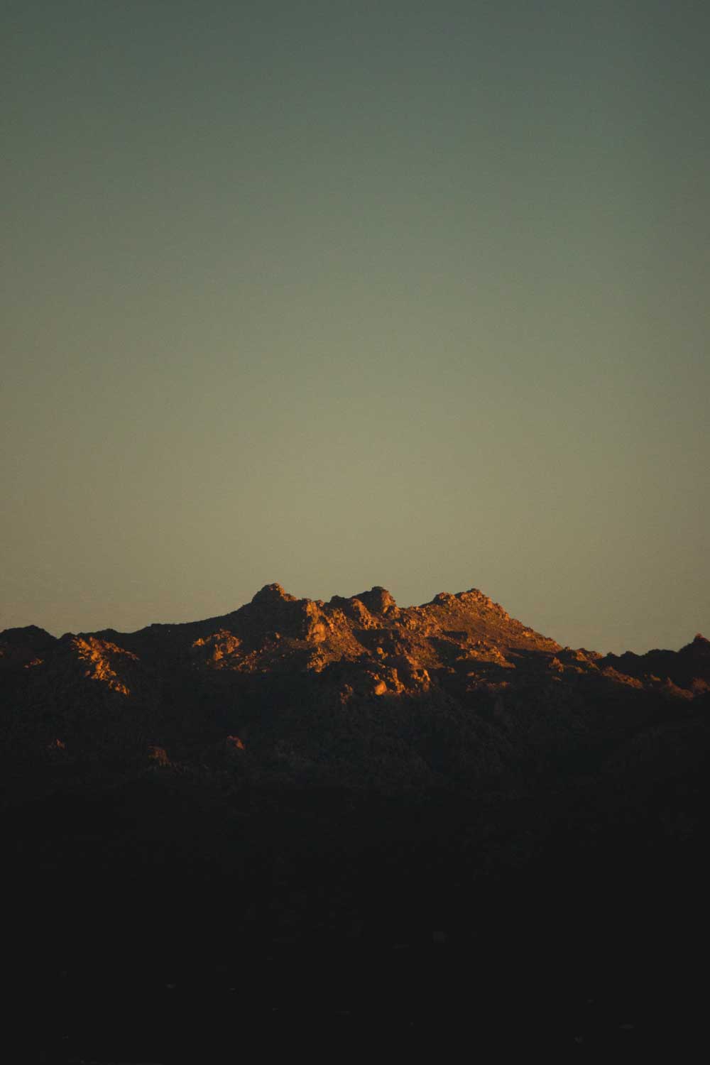 Photo of a sunset in Joshua Treet