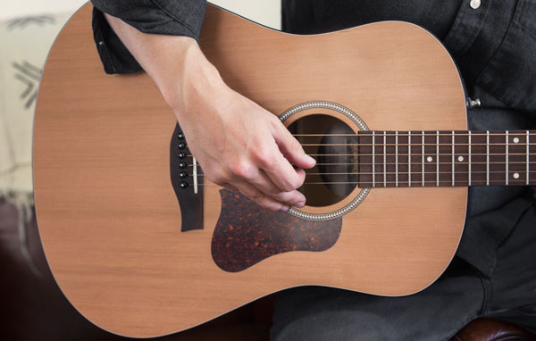 acoustic guitar wood