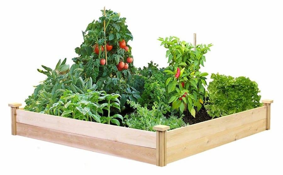 Best Value Cedar Raised Garden Bed Planter 48" W x 48" L x 7" H