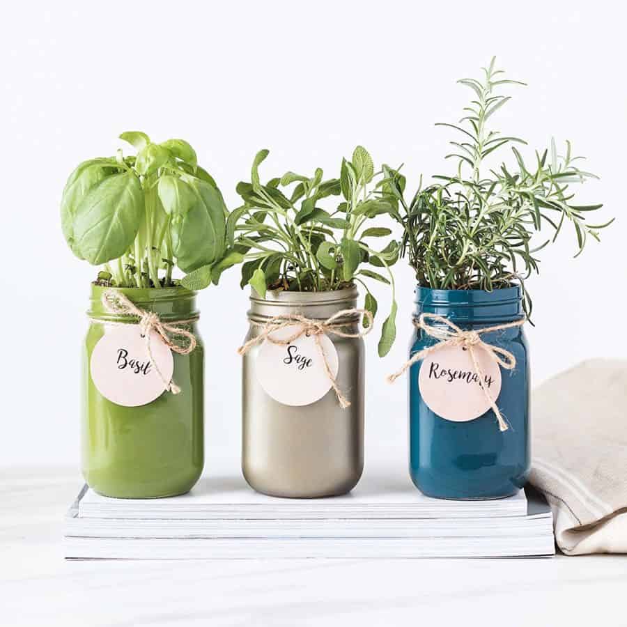 Thoughtfully Gifts, Mason Jar Garden, Grow Your Own Herbs Gift Set, Contains Rosemary, Basil and Sage Seeds with 6 Soil Pods