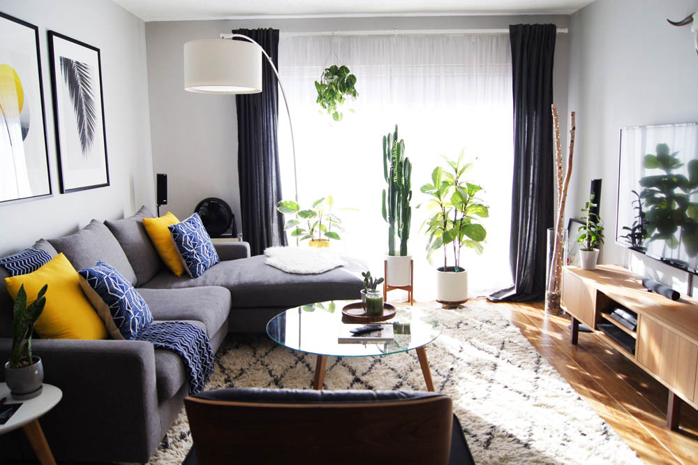 apartment with plants in window snake plant, rubber plant, fiddle leaf
