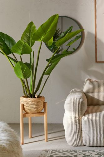 eva curcuma potted tree home decor