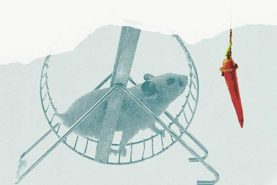 Why People Don't Have What They Want: 12 Reasons to Help Diagnose Stagnation