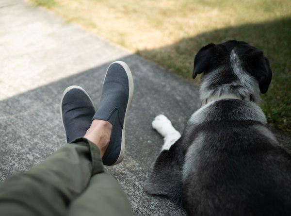 canvas-slip-on-plimsoll-sneakers canvas slip on sneakers