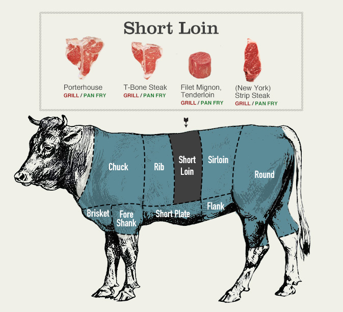 Beef cuts chart of the short loin: in mid back of cow with cuts: Porterhouse (grill / pan fry), t-bone steak (grill / pan fry), filet mignon, tenderloin (grill / pan fry), New York strip steak (grill / pan fry)