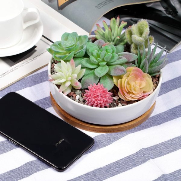 assortment of succulent plants in a white ceramic planter pot