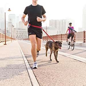 Hands-free Dog Leash