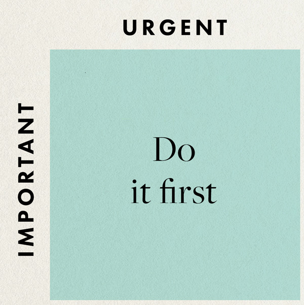 important and urgent Eisenhower matrix box