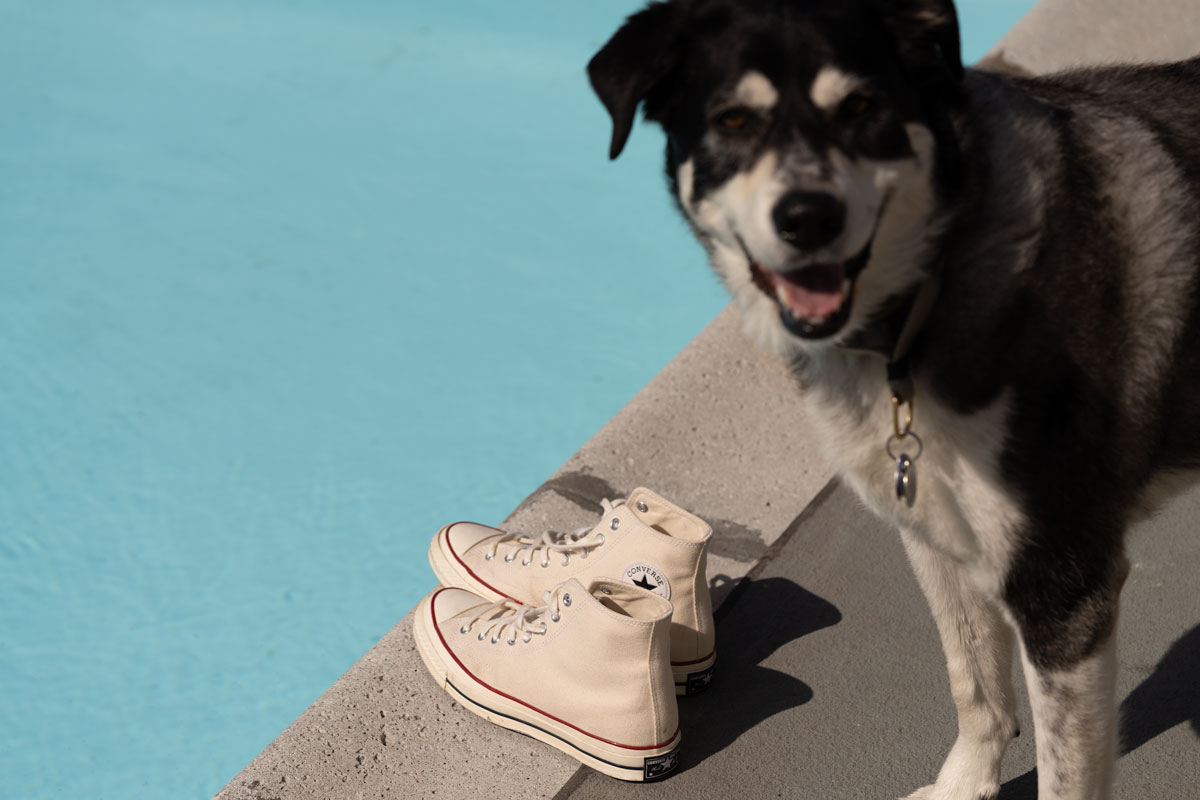 converse 70 high top parchment with smiling dog