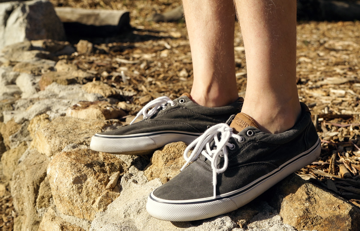 sperry canvas sneaker