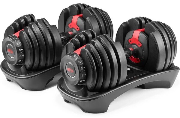 bowflex dumbell set