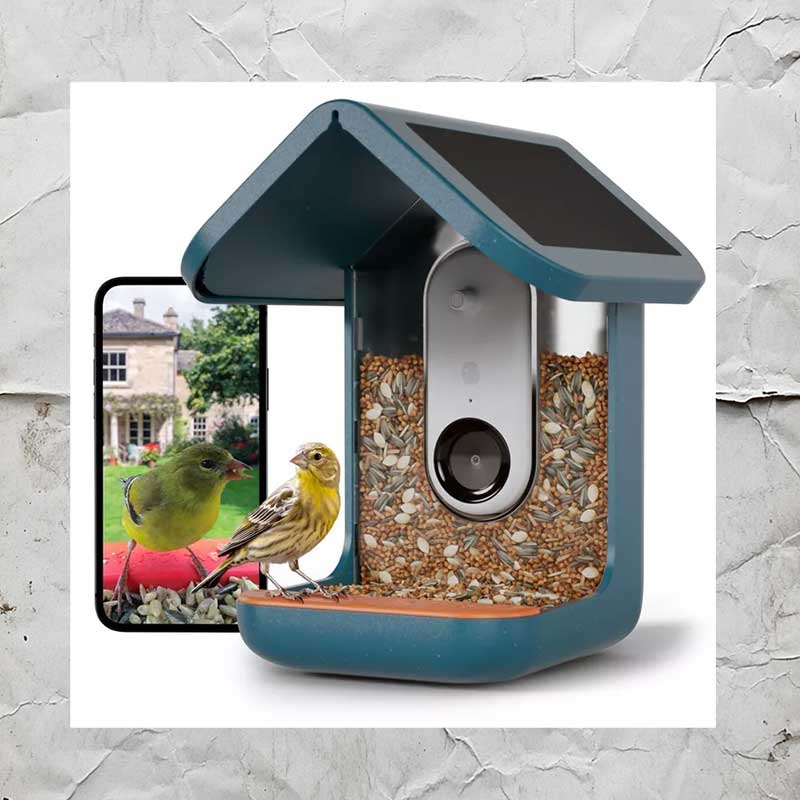 smart bird feeder
