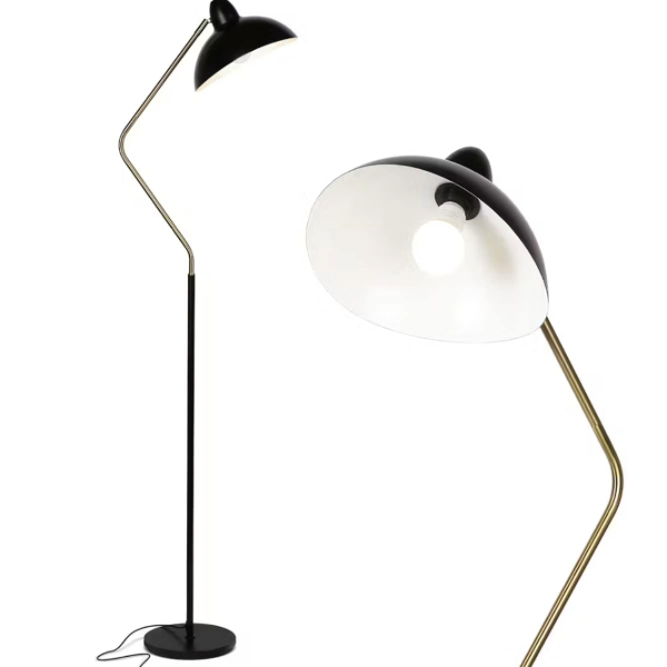 a floor lamp