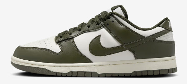 Nike Dunk Low Retro sneaker