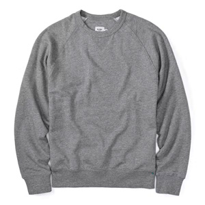 gray sweatshirt