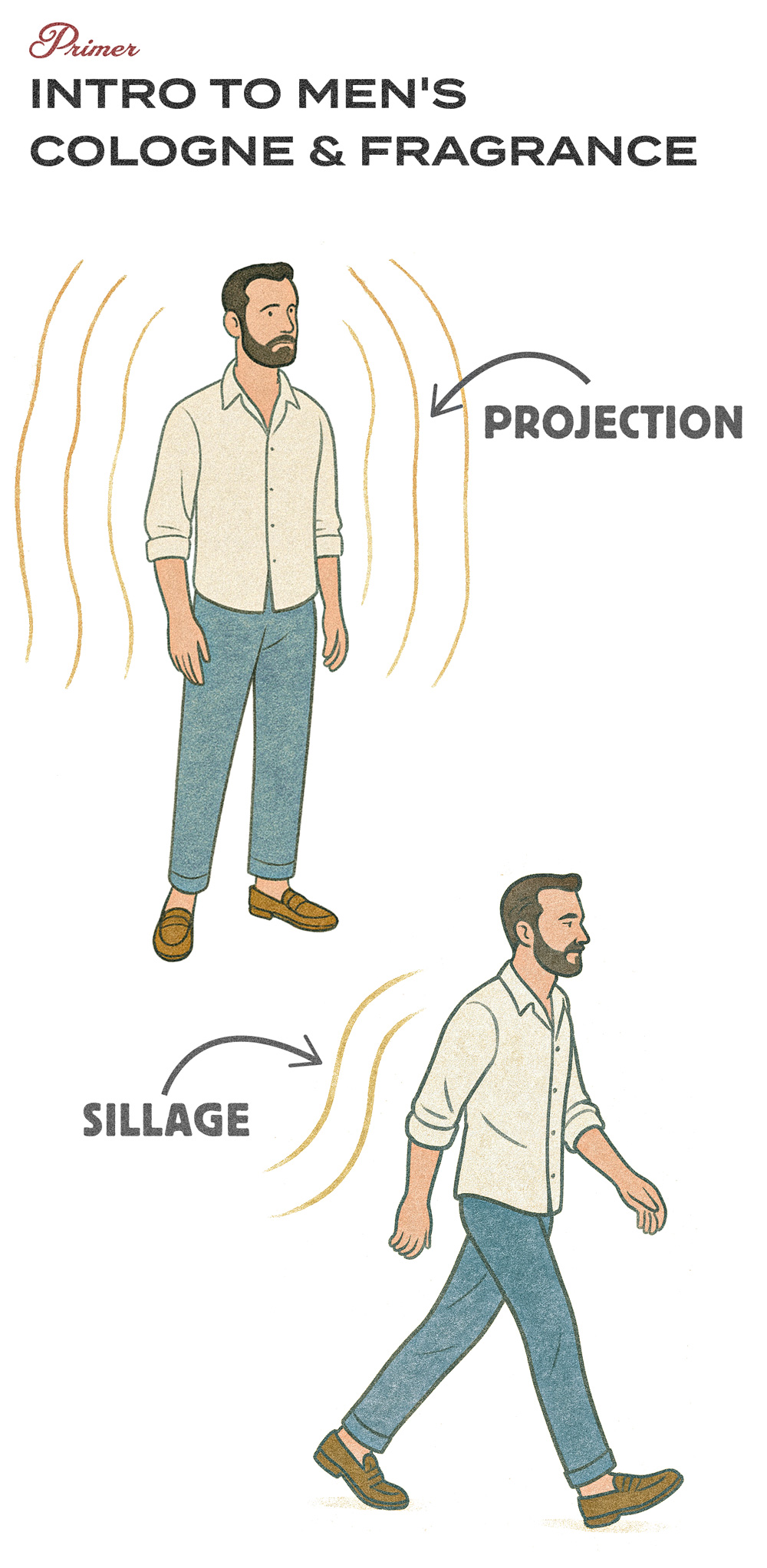 An illustrated infographic titled "Intro to Men's Cologne & Fragrance" from Primer. It shows two labeled concepts: "Projection" and "Sillage." The top half depicts a man standing still with aromatic waves radiating outward, labeled "Projection," indicating how far a scent reaches from the wearer. The bottom half shows the same man walking with scent trails behind him, labeled "Sillage," illustrating the trail of fragrance left in the air as he moves. The man is dressed in a light-colored button-up shirt, blue jeans, and brown loafers in both scenes.