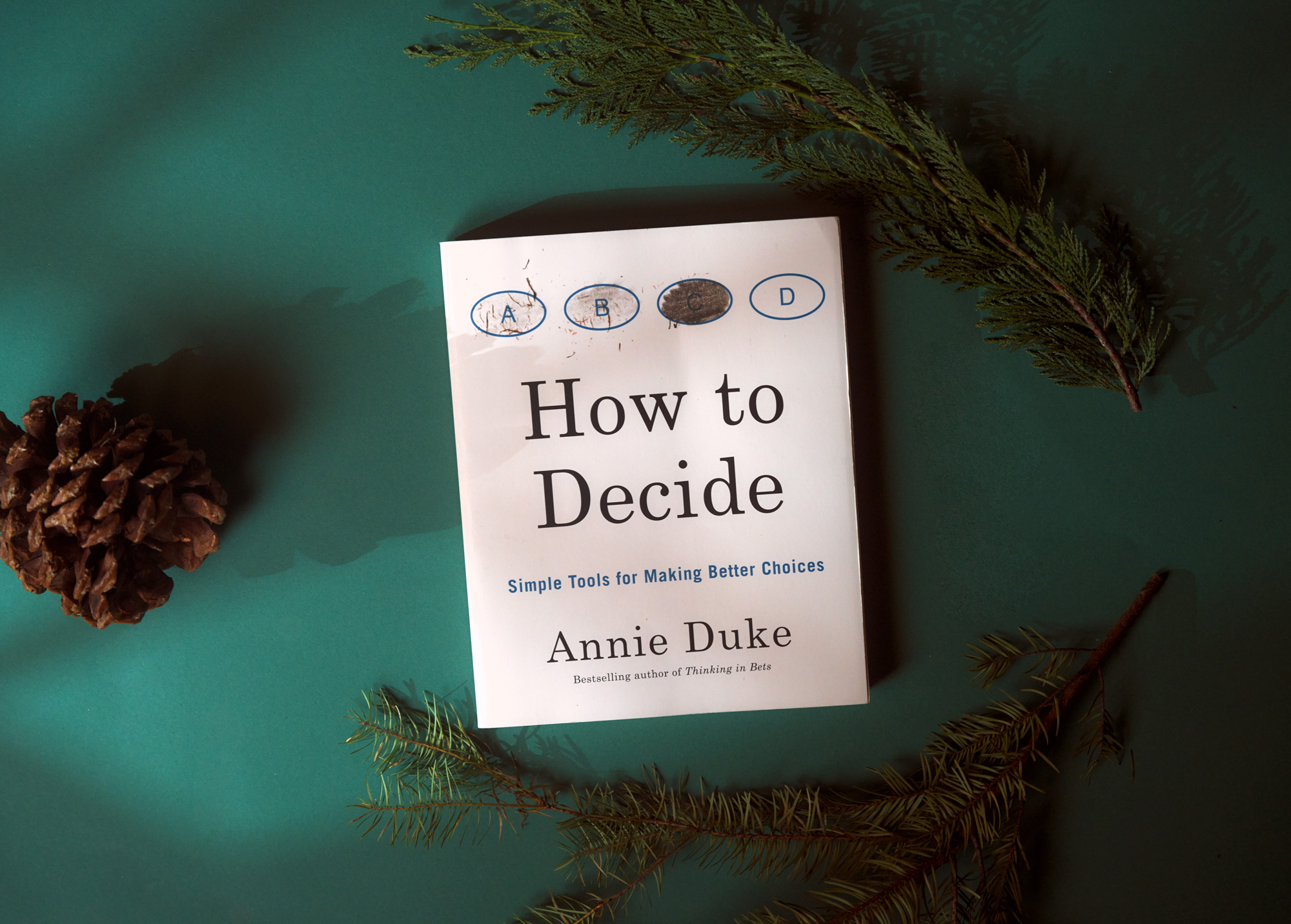 how to decide book by annie duke